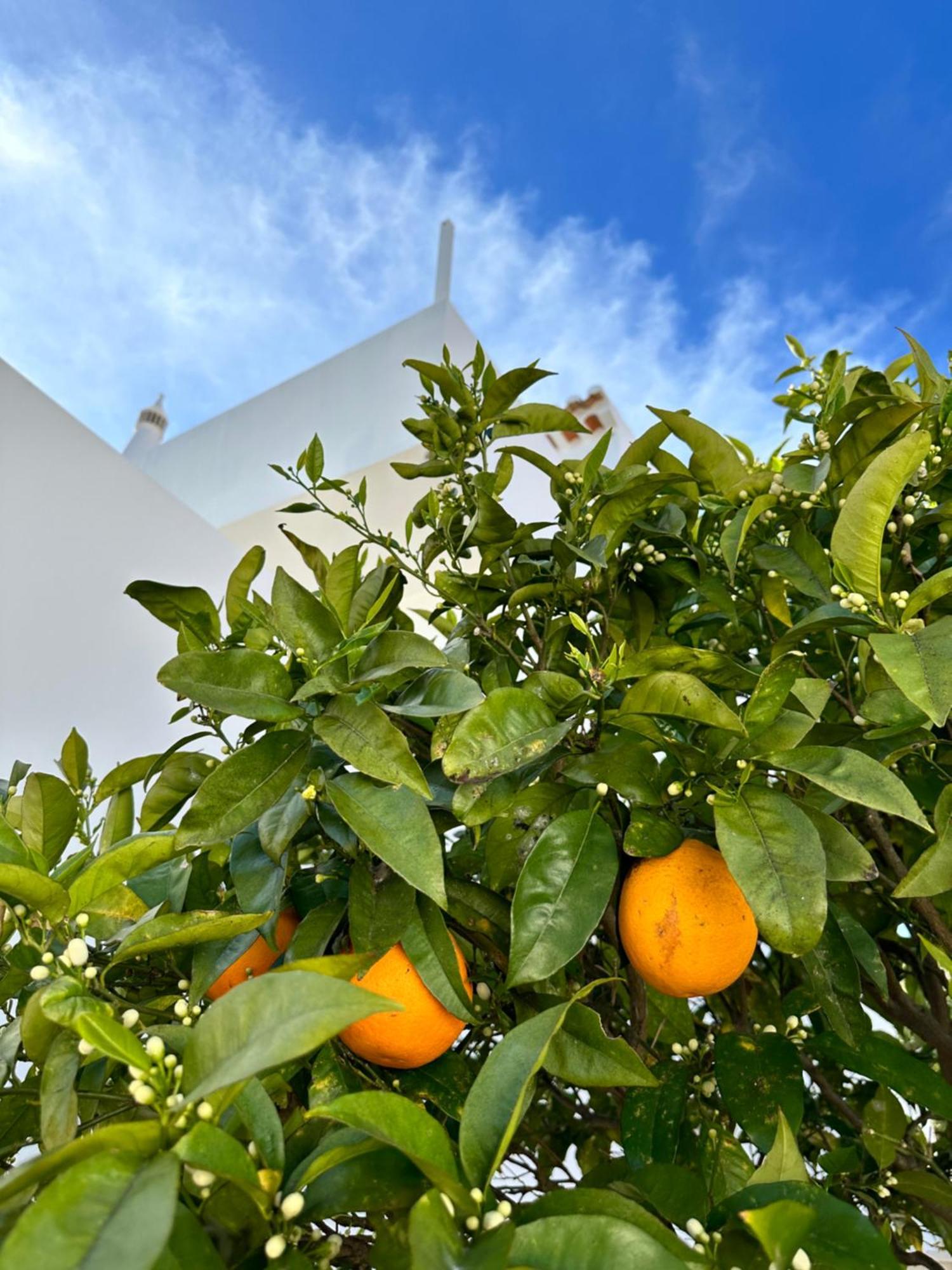 Casa Malia Luxury Guest House Luz Exteriör bild